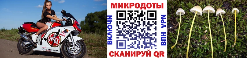 наркота  МЕГА ссылка  Псилоцибиновые грибы мицелий  Ясногорск 
